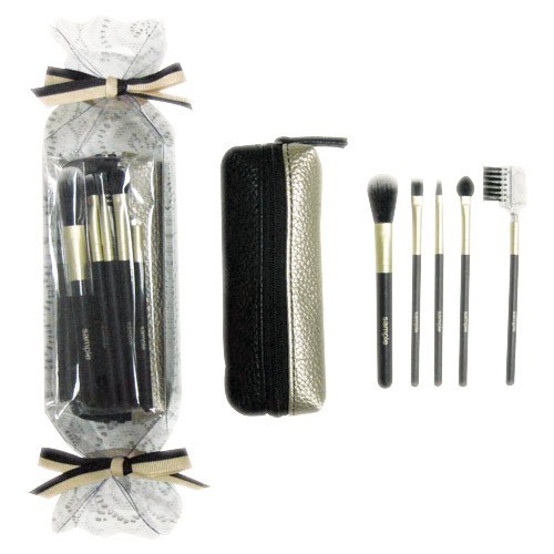 2696BS/PS 5-pc make up brush w/ bag set